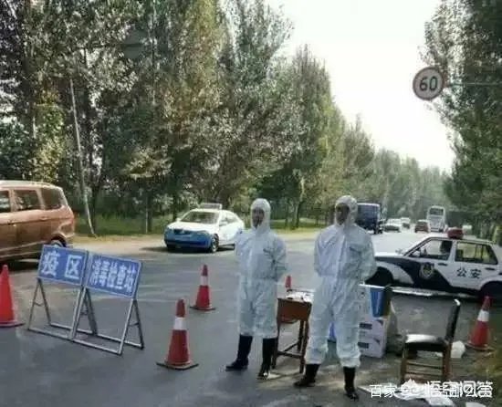 你对非洲猪瘟有哪些了解？人吃了病猪会有什么后果？