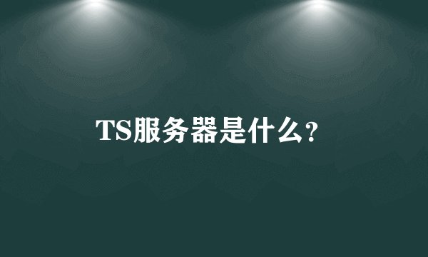 TS服务器是什么？