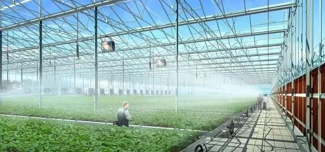 国家级现代农业示范区的标准?