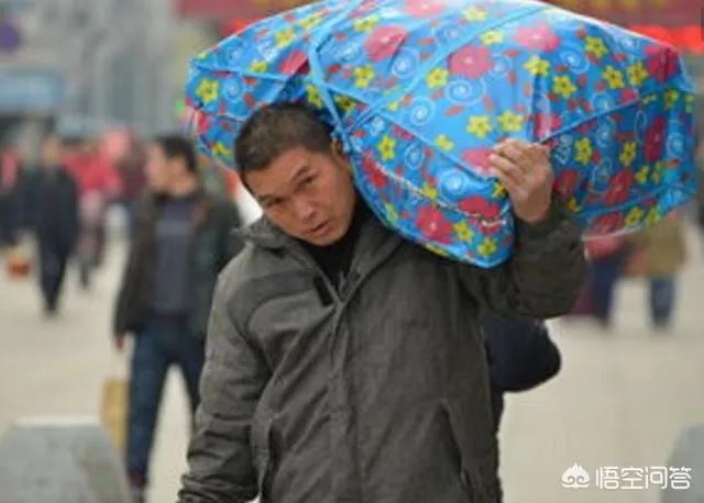 初中生毕业能干什么?