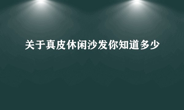 关于真皮休闲沙发你知道多少