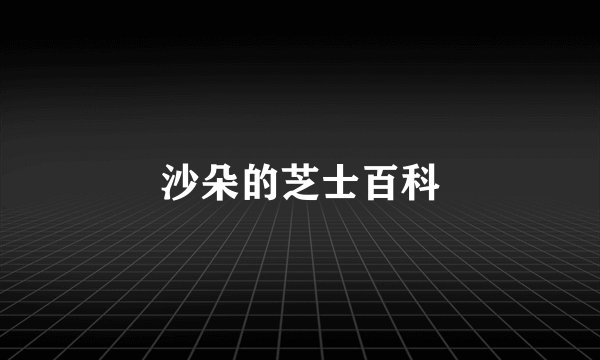 沙朵的芝士百科