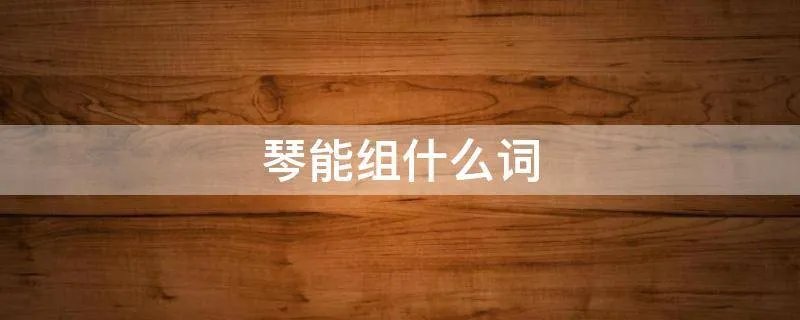 琴能组什么词