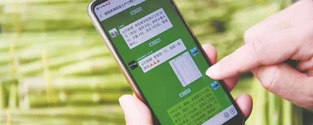 钉钉企业微信崩溃怎么回事 是什么情况造成的