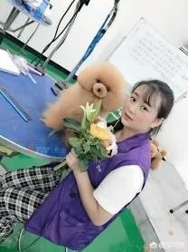 选择宠物美容师培训学校哪家比较好呢?