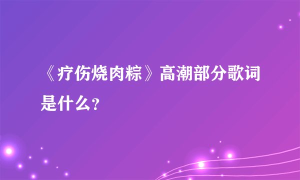 《疗伤烧肉粽》高潮部分歌词是什么？