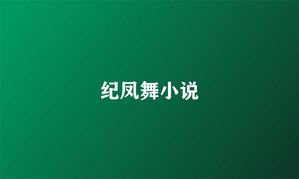 纪凤舞小说