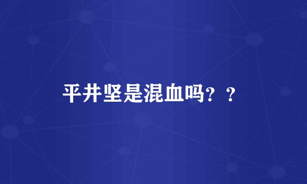 平井坚是混血吗??
