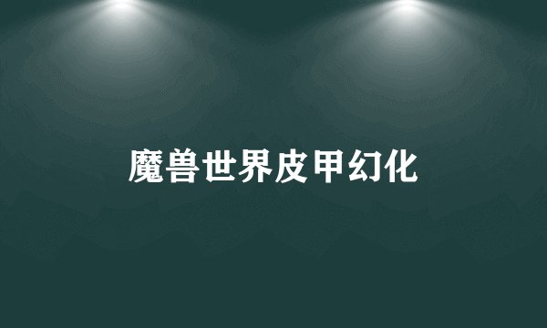 魔兽世界皮甲幻化
