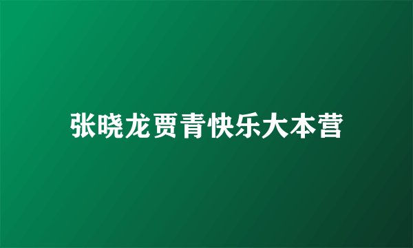 张晓龙贾青快乐大本营