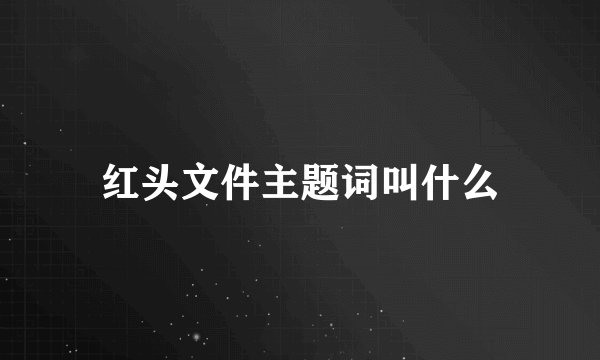 红头文件主题词叫什么
