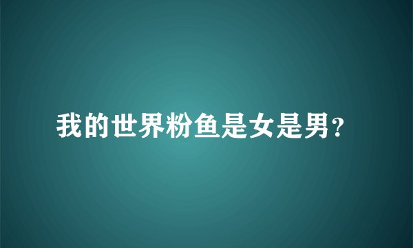 我的世界粉鱼是女是男？