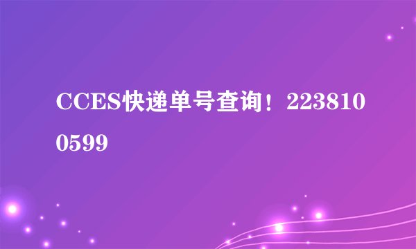 CCES快递单号查询！2238100599
