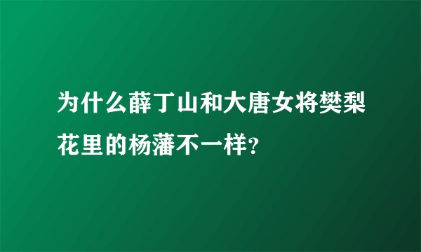 为什么薛丁山和大唐女将樊梨花里的杨藩不一样?