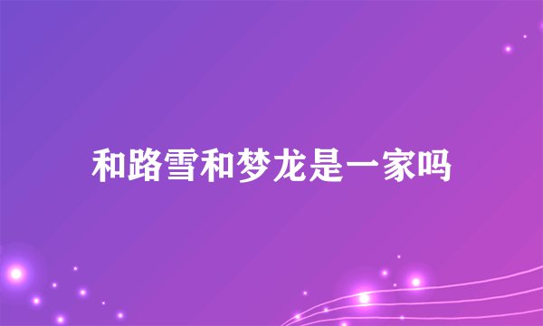 和路雪和梦龙是一家吗