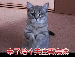 张亮的儿子天天如今长的怎样了?