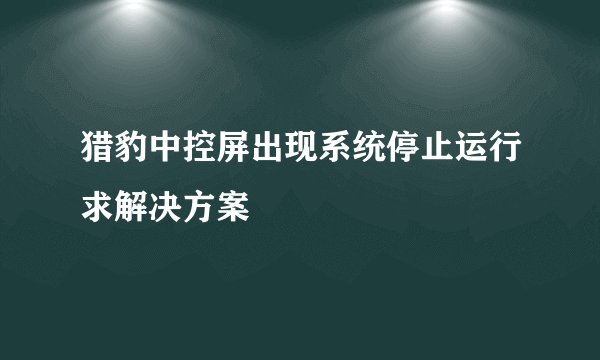 猎豹中控屏出现系统停止运行求解决方案
