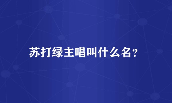 苏打绿主唱叫什么名？