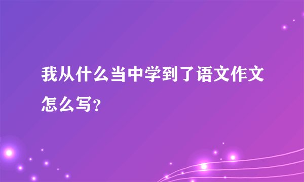 我从什么当中学到了语文作文怎么写？