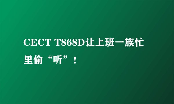 CECT T868D让上班一族忙里偷“听”！