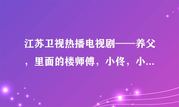 江苏卫视热播电视剧——养父，里面的楼师傅，小佟，小语，小新都是谁扮演的啊？