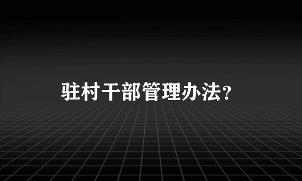 驻村干部管理办法？