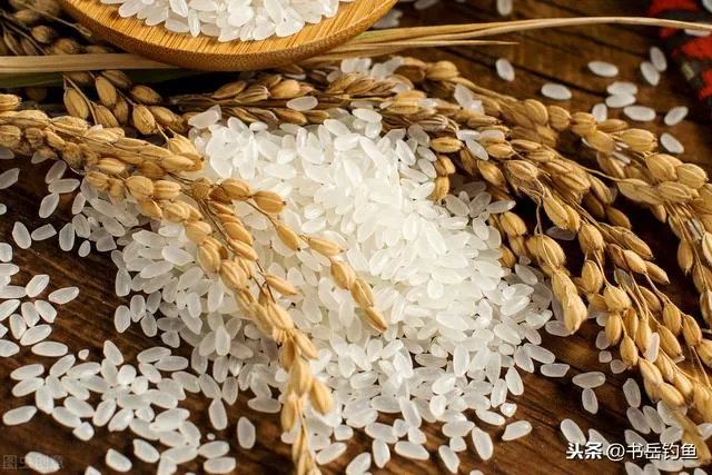 用剩下的大米饭如何能做出来鱼诱饵?