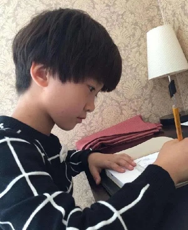 张亮的儿子天天如今长的怎样了?