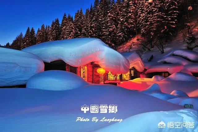 明知道雪乡宰客,为什么还有人要去,不能找正规旅行社吗?
