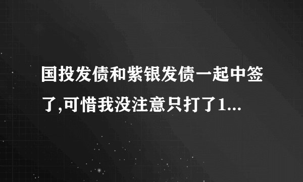 国投发债和紫银发债一起中签了,可惜我没注意只打了1000元进入账户咋办呀?