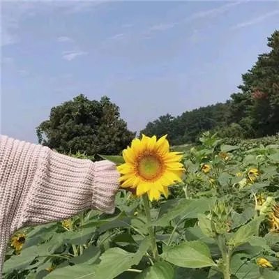 2021最新好听的微信昵称大全