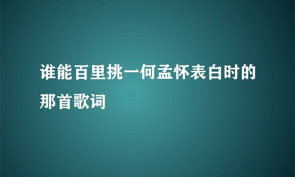 谁能百里挑一何孟怀表白时的那首歌词