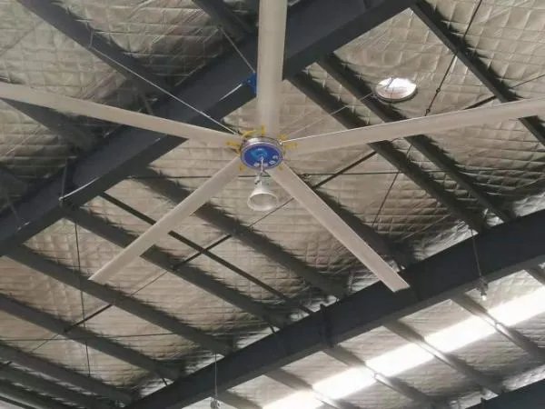 大型工业风扇可以把室内的热气排出吗