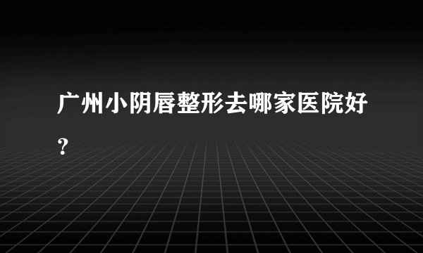 广州小阴唇整形去哪家医院好?