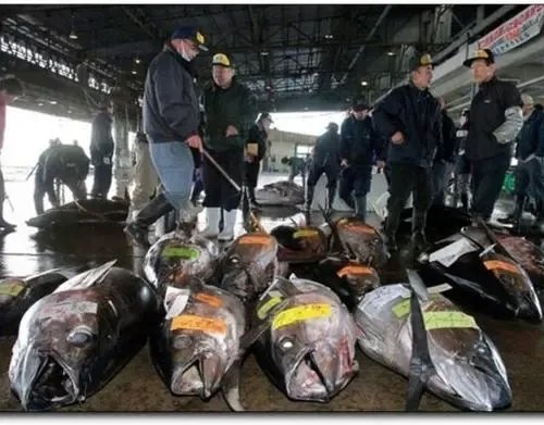 台湾首次检出日本福岛等地进口食品含辐射物,这样的食品还能放心吃吗?