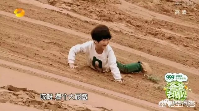 张亮的儿子天天如今长的怎样了?