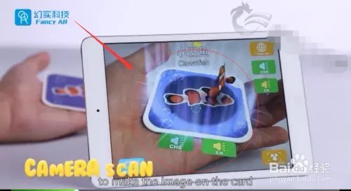 4D魔法动物园
