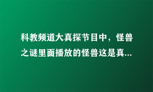 科教频道大真探节目中，怪兽之谜里面播放的怪兽这是真的还是假的？