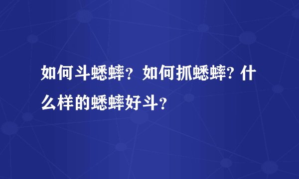 如何斗蟋蟀？如何抓蟋蟀? 什么样的蟋蟀好斗？