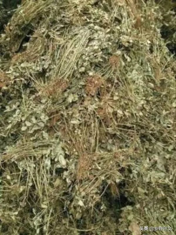 花生秧粉怎么喂鸭好?