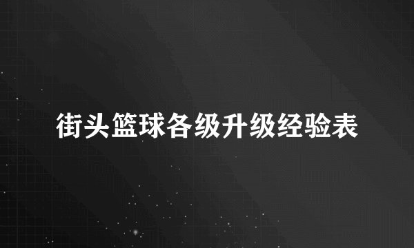 街头篮球各级升级经验表