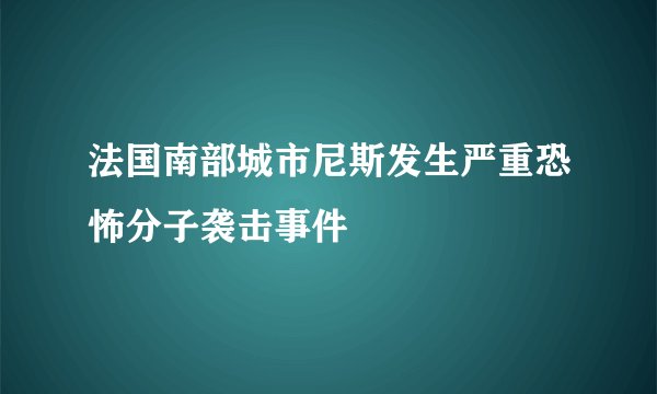法国南部城市尼斯发生严重恐怖分子袭击事件