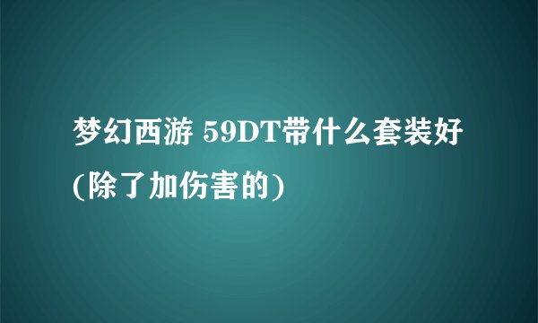 梦幻西游 59DT带什么套装好(除了加伤害的)