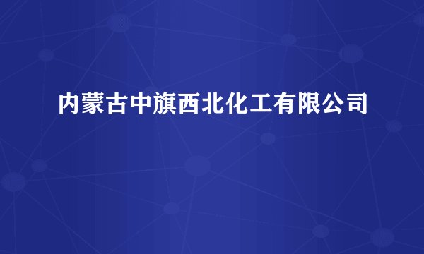 内蒙古中旗西北化工有限公司