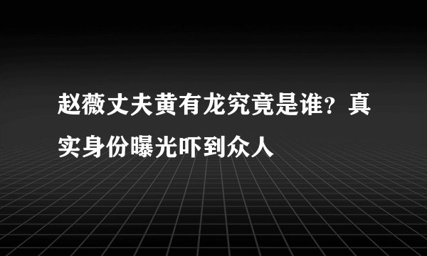 赵薇丈夫黄有龙究竟是谁？真实身份曝光吓到众人