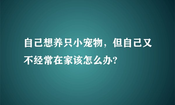 自己想养只小宠物，但自己又不经常在家该怎么办?