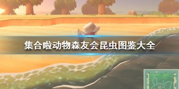 《集合啦动物森友会》昆虫图鉴大全 全虫类图鉴汇总一览