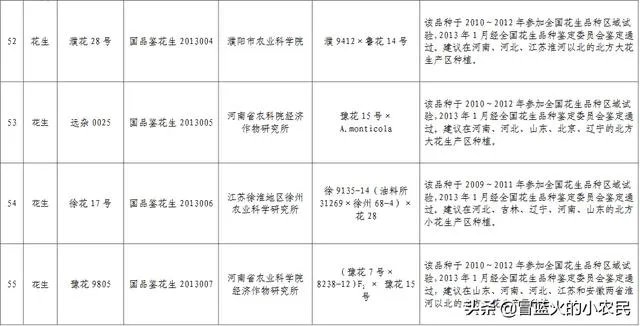 最大的花生品种