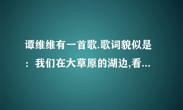 谭维维有一首歌.歌词貌似是：我们在大草原的湖边,看鸟飞回来.这是哪首歌?