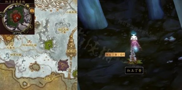 《魔兽世界》wlk红玉丁香在哪里获取？红玉丁香获取位置介绍